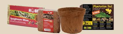 Moose & Substrate